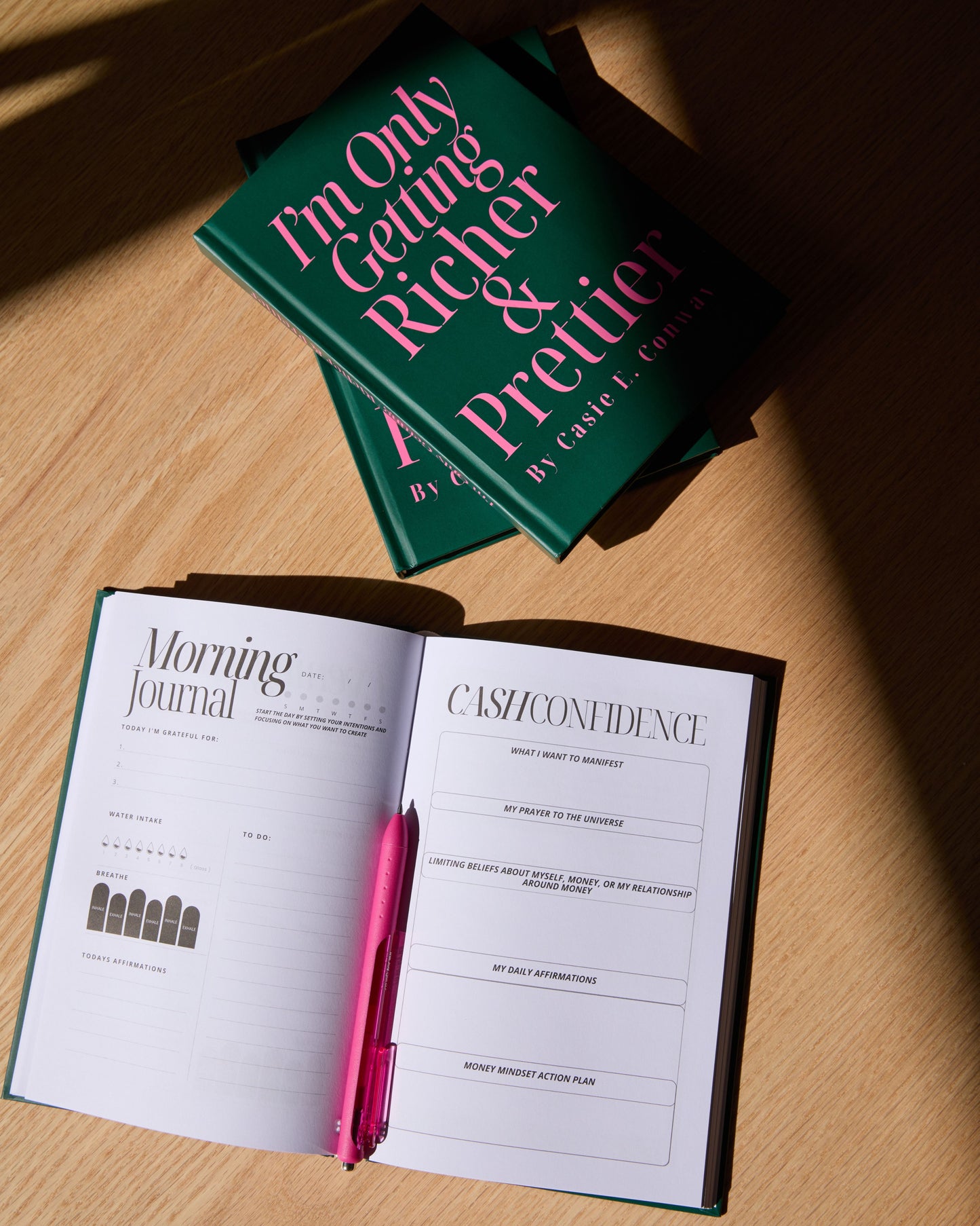 I’m Only Getting Richer & Prettier: Money Manifestation Journal