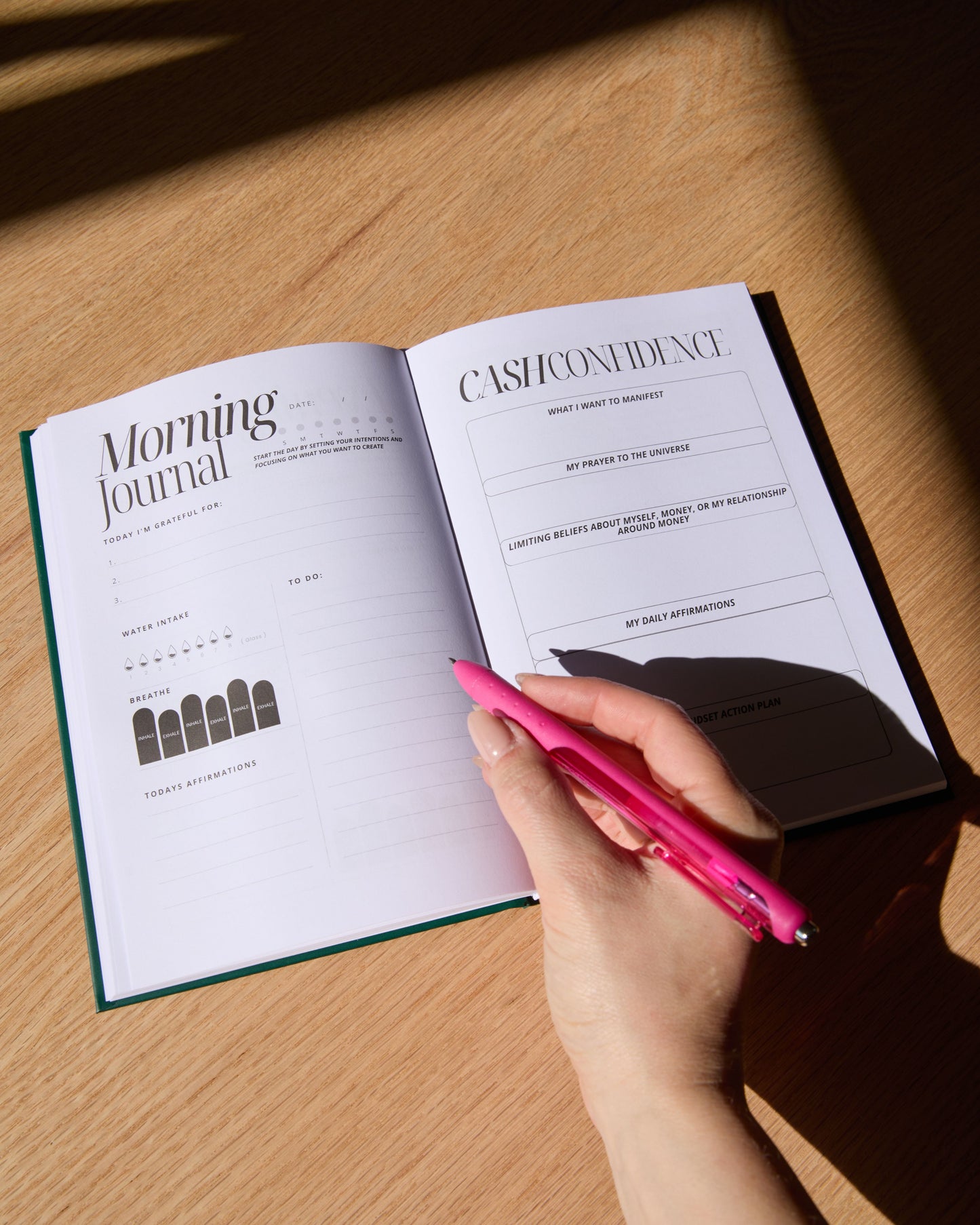 I’m Only Getting Richer & Prettier: Money Manifestation Journal