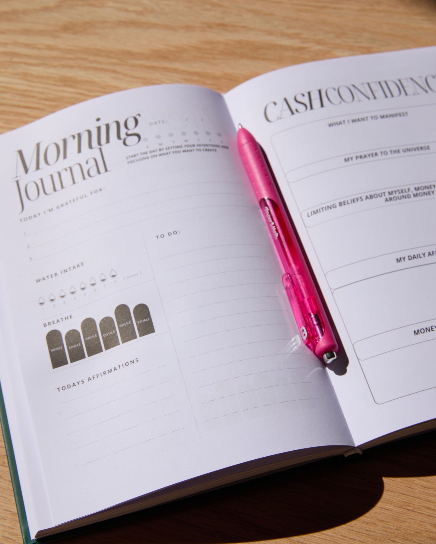 I’m Only Getting Richer & Prettier: Money Manifestation Journal