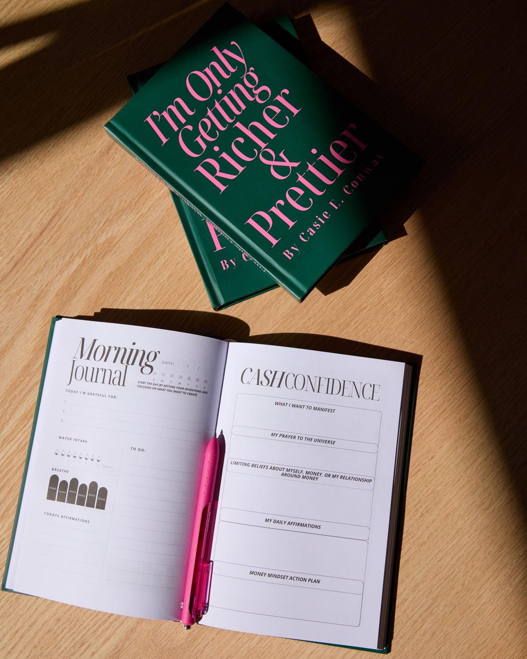 I’m Only Getting Richer & Prettier: Money Manifestation Journal